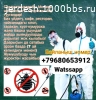 Дезинфекция клоп жана таракан жок кылуу кызматы!